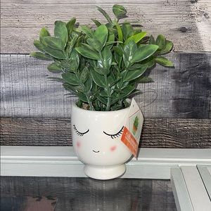 ❤️NEW!!!❤️ Home Decor Succulent Planters.